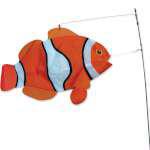 26502 Clown Fish Swimming Fish