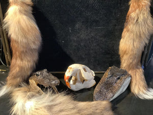 Pelts and Skulls