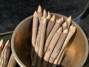 Tree Bark Pencils