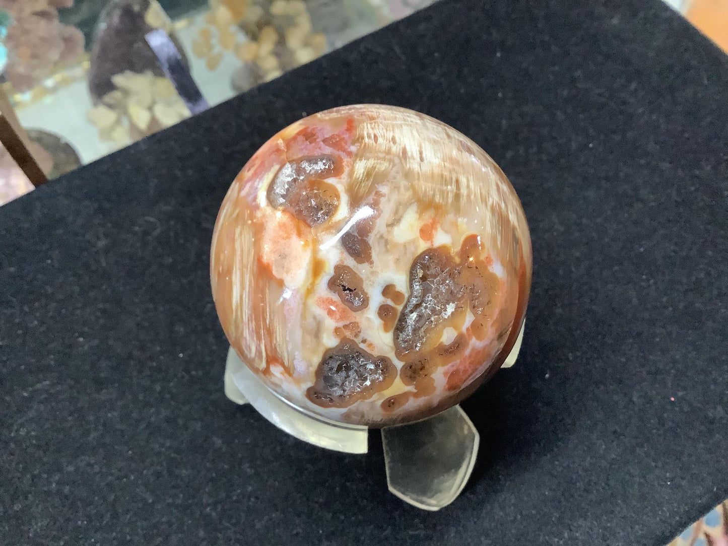 Petrified Wood Spheres