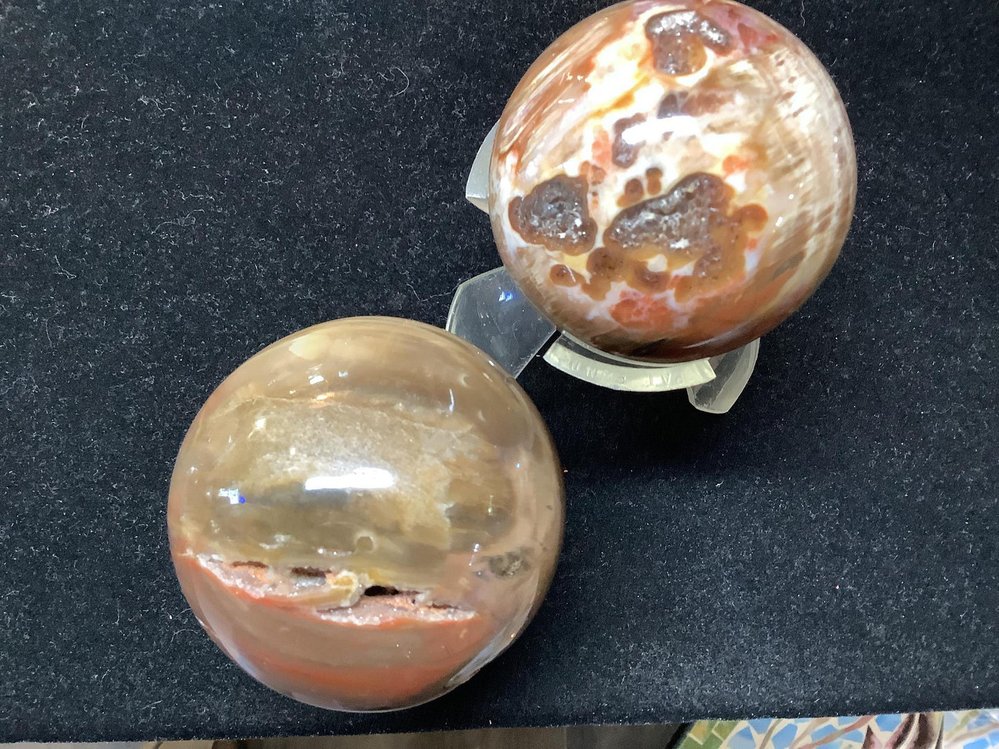 Petrified Wood Spheres