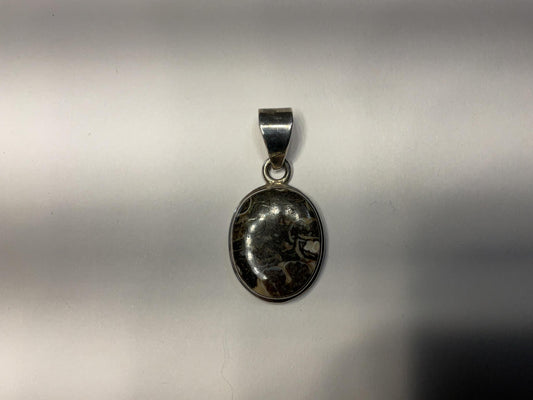 Sterling Pendant Turritella Agate