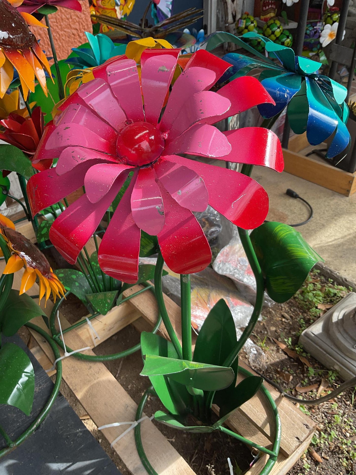 Bouquet of Margarita Flowers