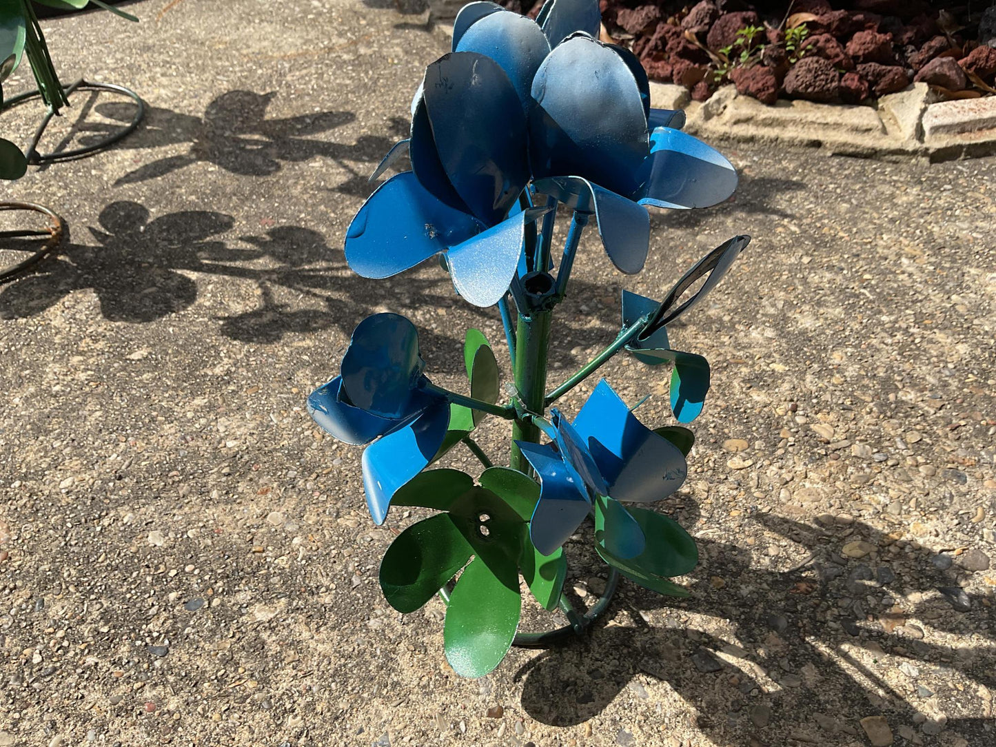 Bluebonnet Rings