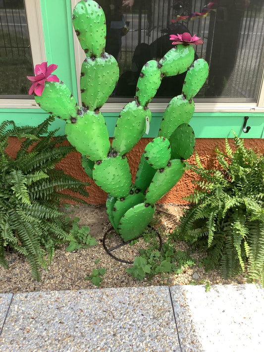 Cactus with Flowers